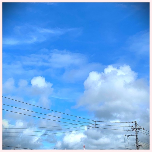 風邪っぴきからの復活。 風邪っぴきからの復活。