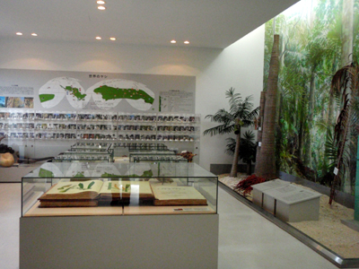 米原のヤシ記念館