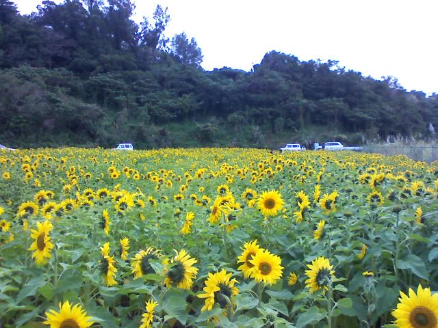 2011年02月17日