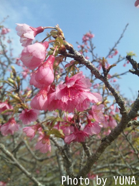 2011年02月10日