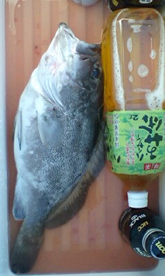 タカバーミ~バイ