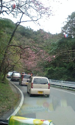 桜祭り