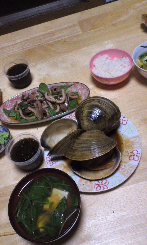 ドライブ