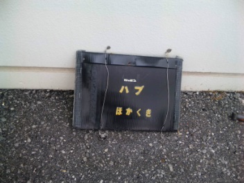 捕獲!