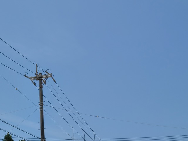 宅 ”二郎系”