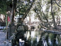 水神社（浜松市西区西山町から）