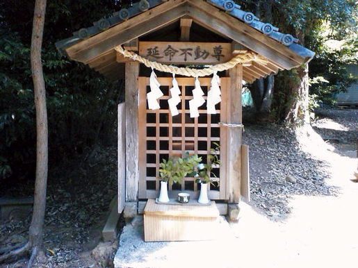 神明宮 浜松市西区西山町から 沖縄だいすき 島人ネット