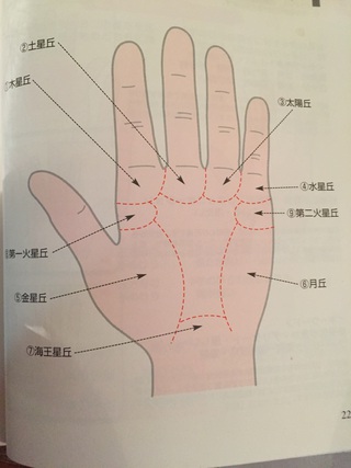 海王星丘 地丘です 手 愛音の手相カウンセリング
