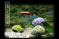 あじさい園 2024/06/10 23:11:46
