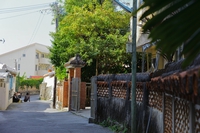 壺屋やちむん通りのシーサー達