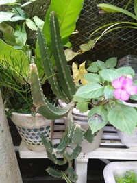 7月16日の記事
