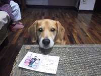 ゴールデンウイークの日程 2013/04/21 09:48:16