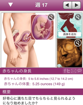 妊娠 17 週 胎動 妊娠17週でも胎動がわかる 先輩ママたちの胎動体験