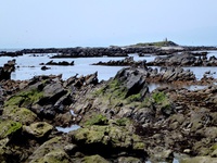 三浦海岸からです…