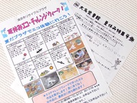 夏休みのイベント！