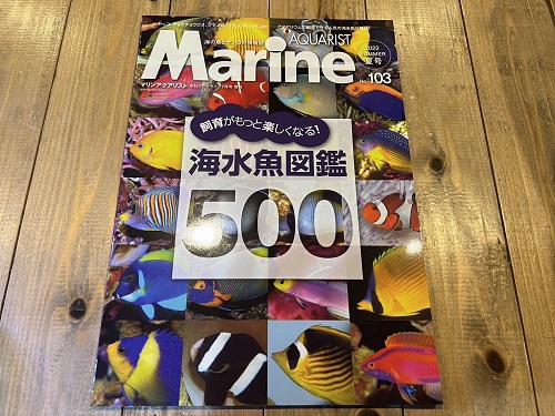 魚、雑誌入荷♪