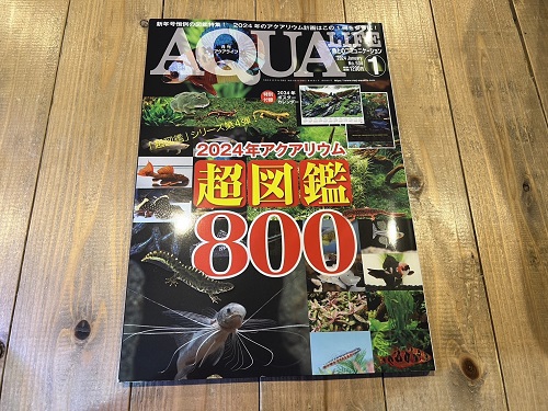 魚、雑誌入荷♪