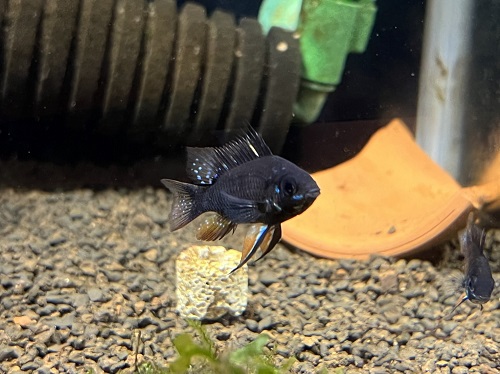 沖縄水族館 STAFFブログ