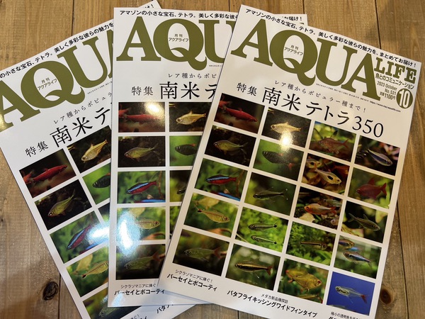 沖縄水族館 STAFFブログ