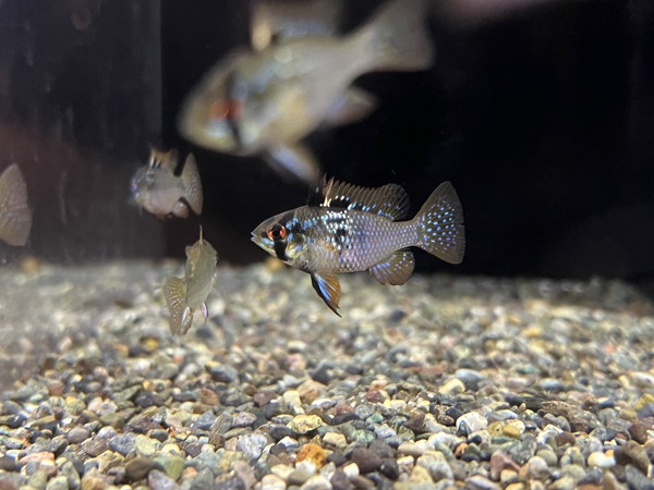 沖縄水族館 STAFFブログ