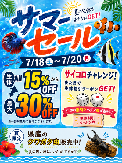 沖縄水族館 STAFFブログ