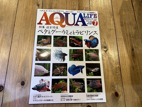 魚、雑誌入荷♪