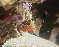 沖縄水族館 Staffブログ