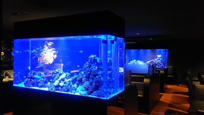 aquarium　Bar