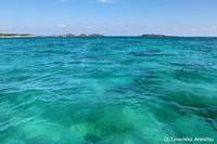Henoko &　Oura Bay