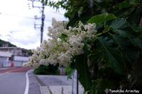 季節感９月初旬
