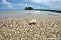 辺野古の浜辺 2014/07/06 00:52:09