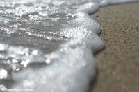大浦湾の浜辺 2014/07/06 22:52:35