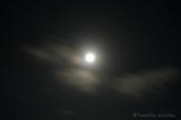 満月の夜