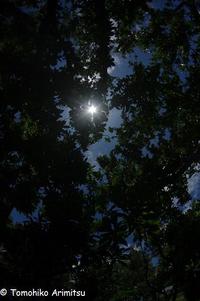空