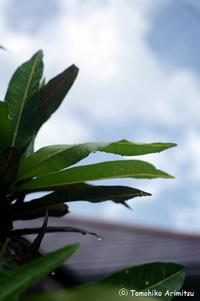 夏の空の色