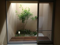和室と坪庭 2013/04/16 21:24:40