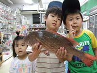 熱田漁港と各地の釣果情報