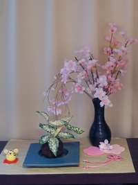 桜の季節 2022 2022/04/09 23:55:00