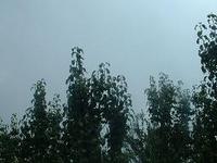 雨雨。