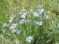 テキサス的な花見～番外編～