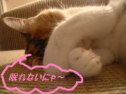平和がいいねっ♥