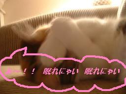 平和がいいねっ♥