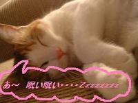 平和がいいねっ♥ 2006/02/10 15:00:00