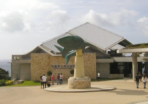いざ水族館へ！！