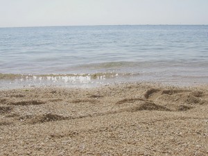 緊張の生放送！