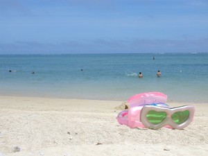 夏がやってきた！！