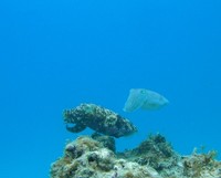 最高の海況でした♪