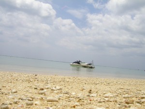 夏日な月曜日