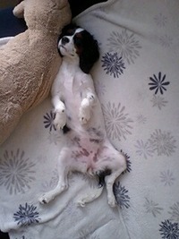 ネムネムｚＺＺ 2010/10/07 14:31:30