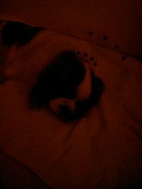 いったん帰宅。 2010/10/16 20:50:49